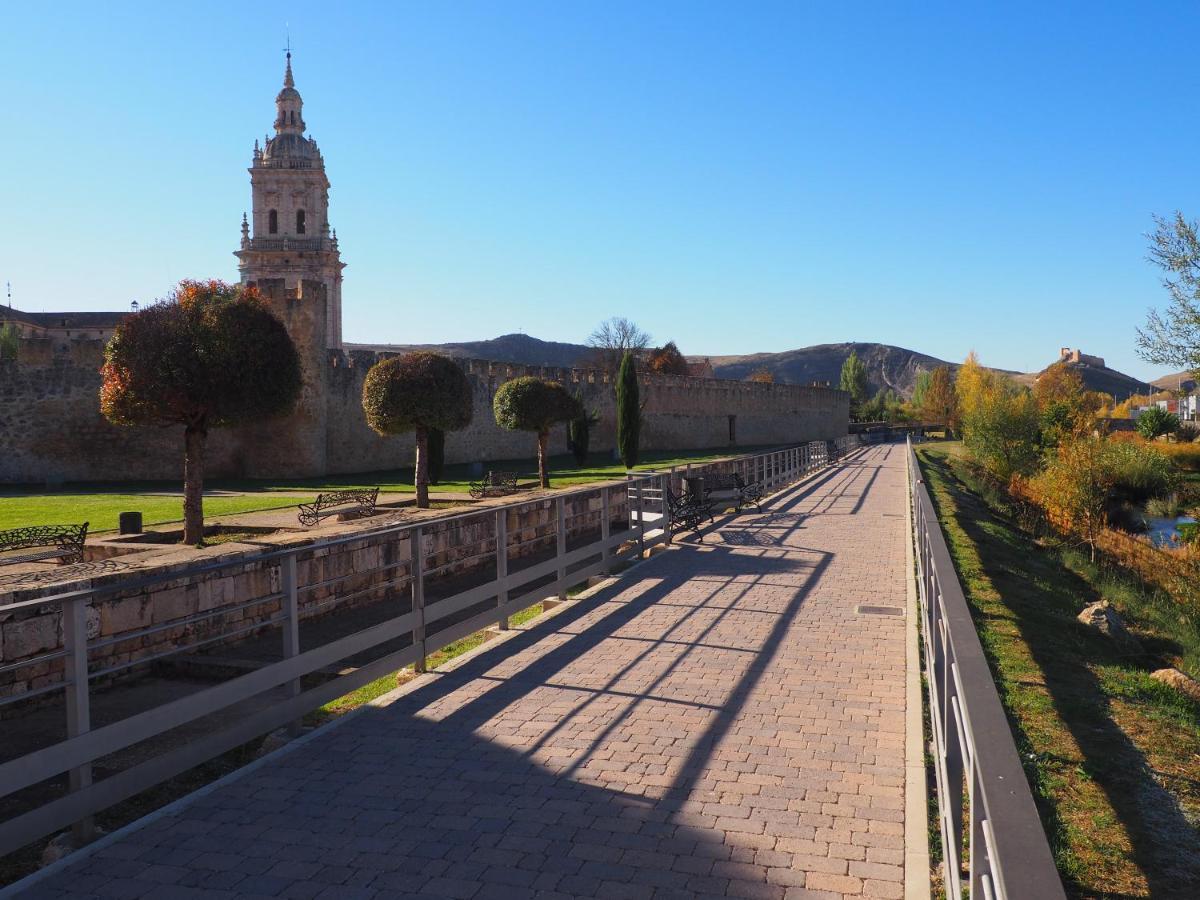 La Casona Del Zoilo -Los Arenales- Бурго-де-Осма Экстерьер фото